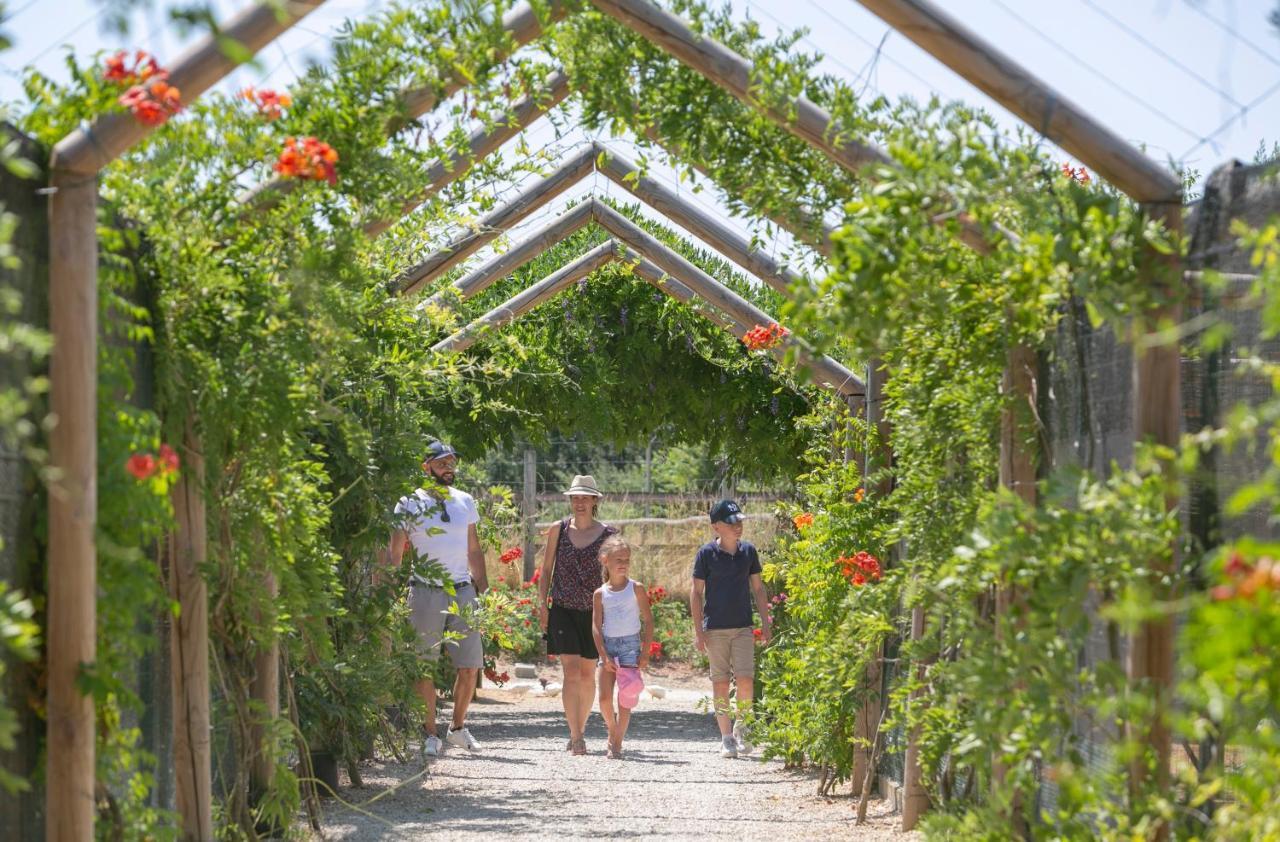 Village Vacances - DéfiPlanet' Dienné Esterno foto