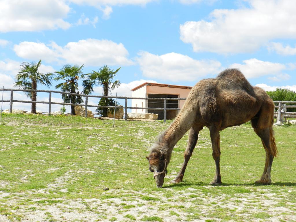 Village Vacances - DéfiPlanet' Dienné Esterno foto